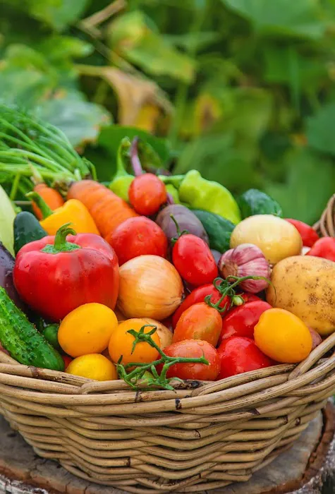 Homefront Farmers Picture 4