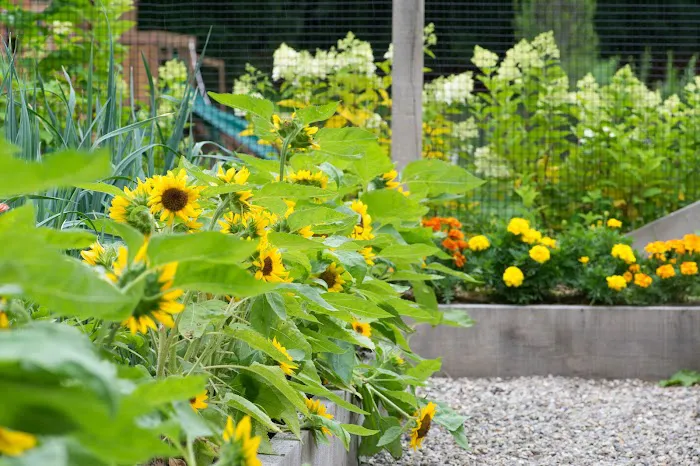 Homefront Farmers Picture 2