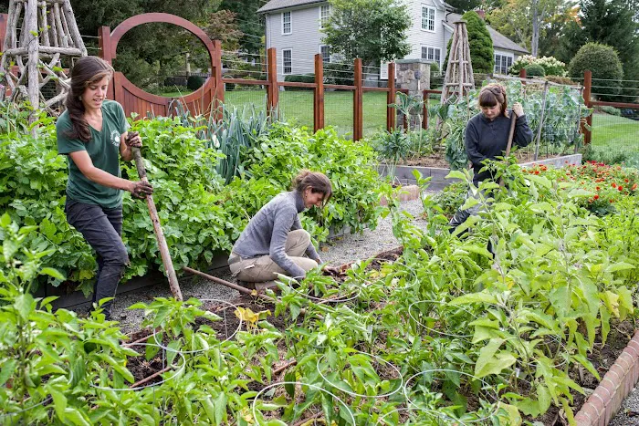 Homefront Farmers Picture 6