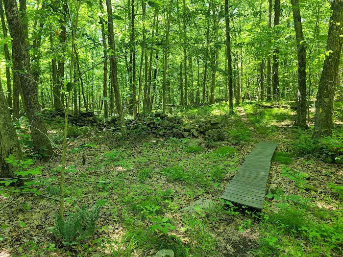 Devil's Den Preserve Picture 7