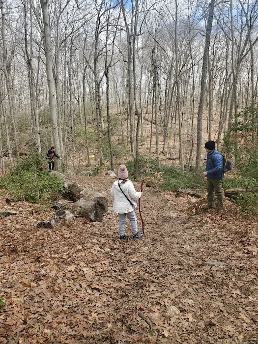 Devil's Den Preserve Picture 1