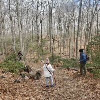 Devil's Den Preserve ico