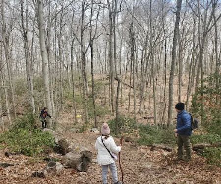 Devil's Den Preserve