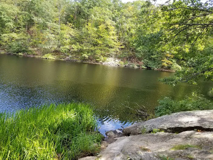 Devil's Den Preserve Picture 10
