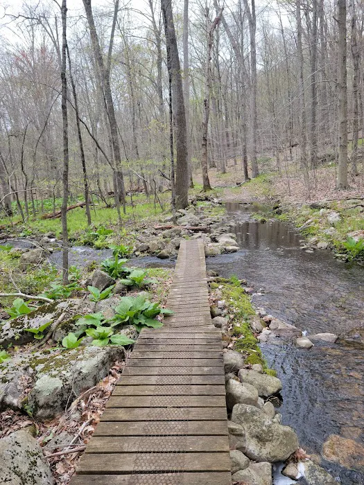 Devil's Den Preserve Picture 9