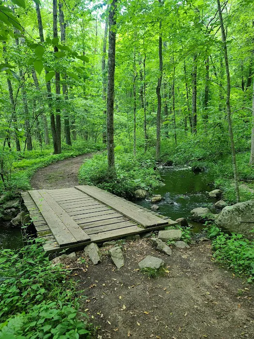 Devil's Den Preserve Picture 5