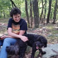 Sturges Park ico