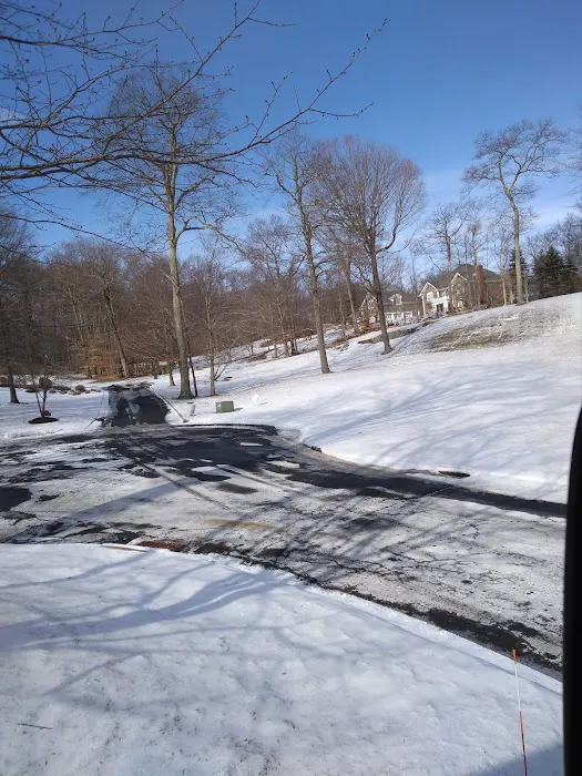 Sturges Park Picture 6