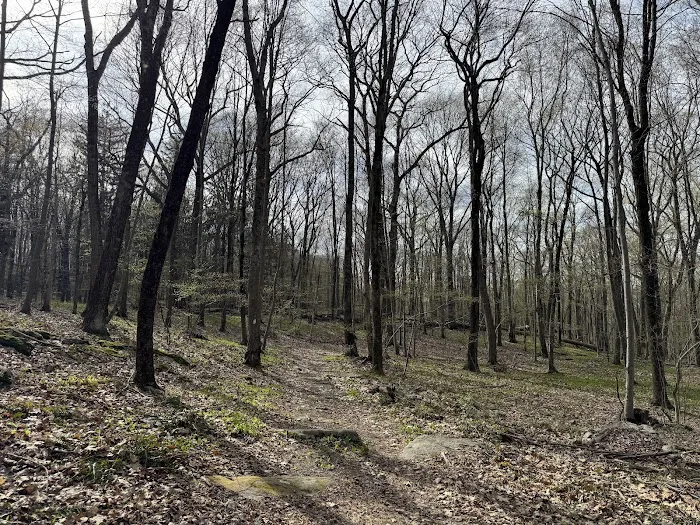 Sturges Park Picture 3