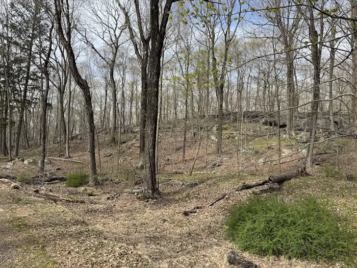 Sturges Park Picture 5