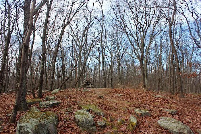 Bailey Mountain Picture 9