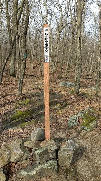 Bailey Mountain Picture 10