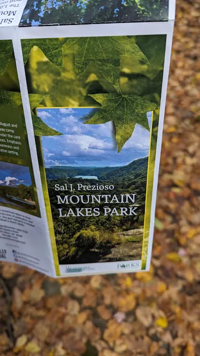 Bailey Mountain Picture 2