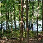 Richardson Park
