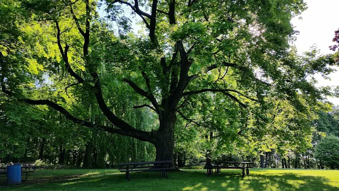 Richardson Park Picture 4