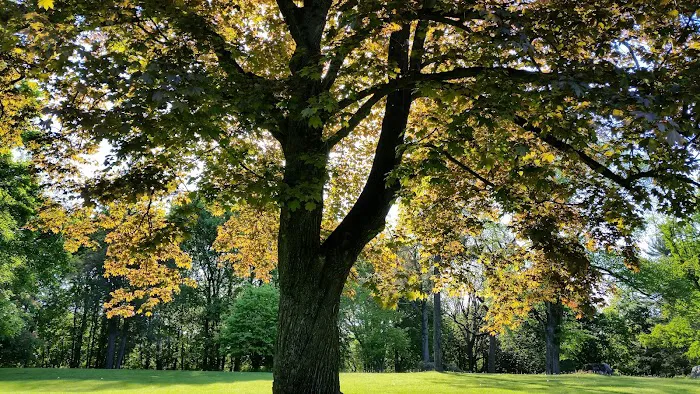 Richardson Park Picture 7