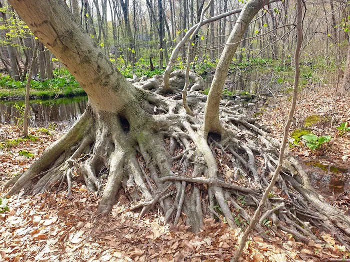 Earthplace Picture 3