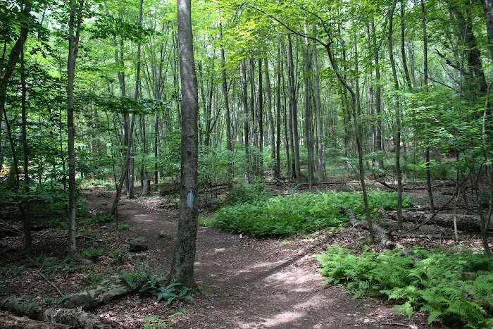 Earthplace Picture 10