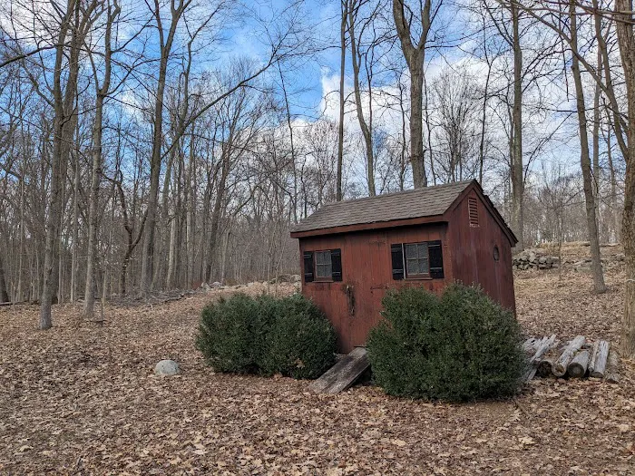 Lillian Wadsworth Arboretum Picture 4