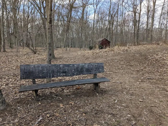 Lillian Wadsworth Arboretum Picture 5