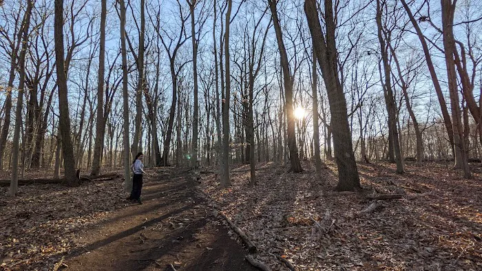 Lillian Wadsworth Arboretum Picture 1