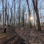 Lillian Wadsworth Arboretum