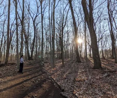 Lillian Wadsworth Arboretum