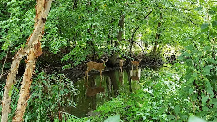 Lillian Wadsworth Arboretum Picture 9