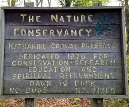 Katharine Ordway Preserve