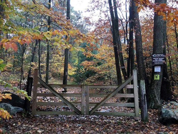 Taylor Woods / Tall Pines Nature Preserve Picture 1