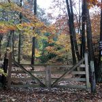 Taylor Woods / Tall Pines Nature Preserve