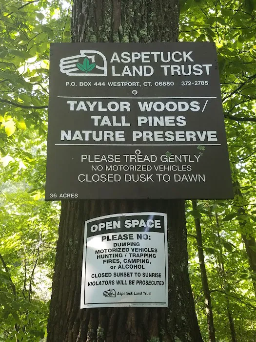 Taylor Woods / Tall Pines Nature Preserve Picture 5
