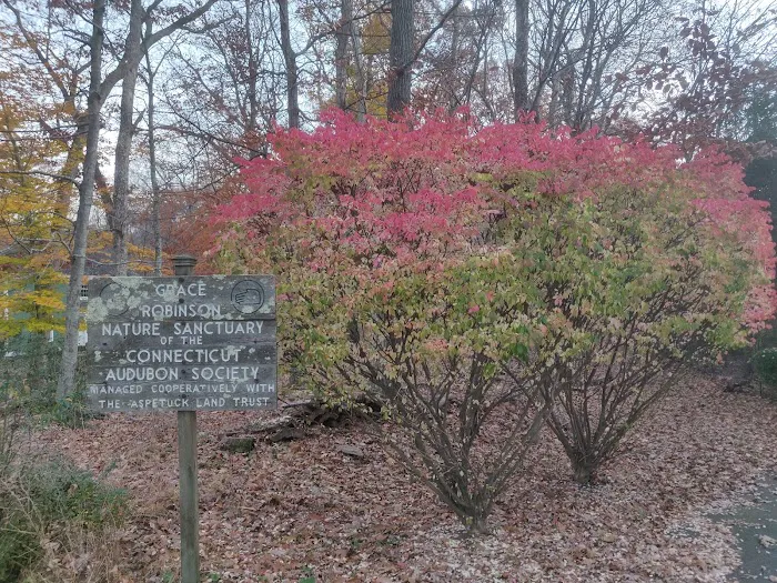 Grace Robinson Nature Sanctuary Picture 2