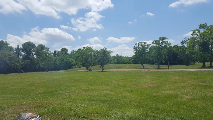 Town Farm Ball Complex Picture 4