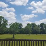 Town Farm Ball Complex