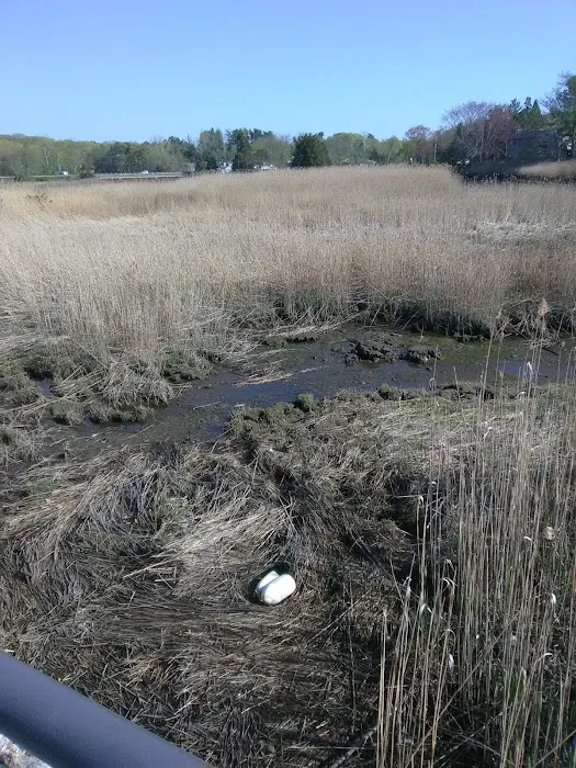 Westport Ghorham Island LIS public access Picture 8