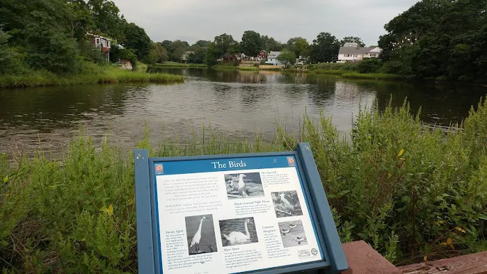 Mill Pond Park Picture 10