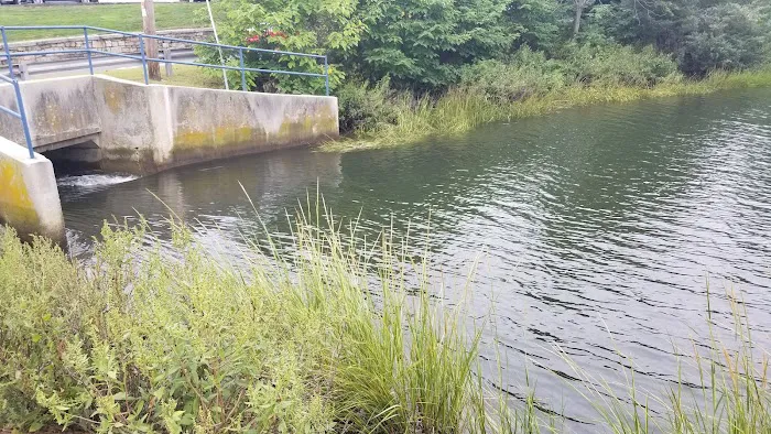 Mill Pond Park Picture 5