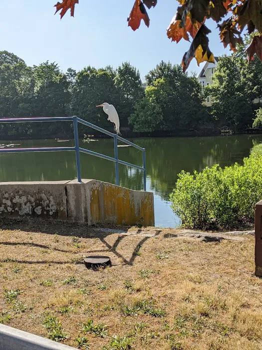 Mill Pond Park Picture 7