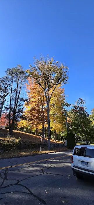 Mill Pond Park Picture 2