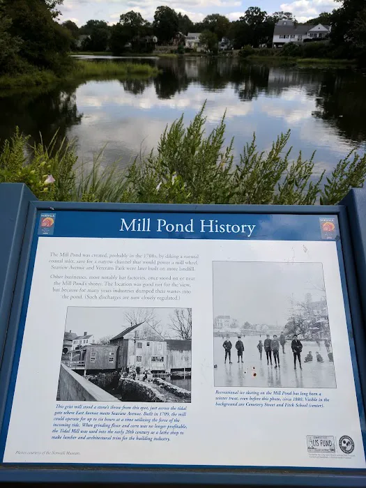 Mill Pond Park Picture 6