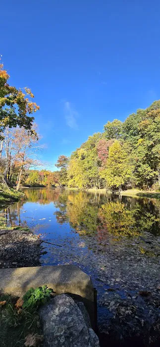 Mill Pond Park Picture 3