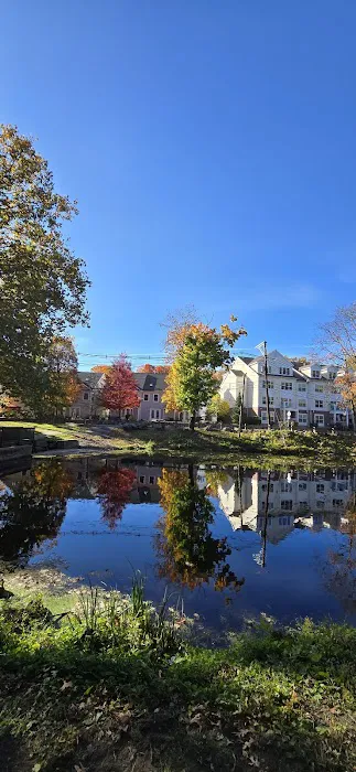 Mill Pond Park Picture 1