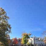 Mill Pond Park
