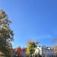 Mill Pond Park ico