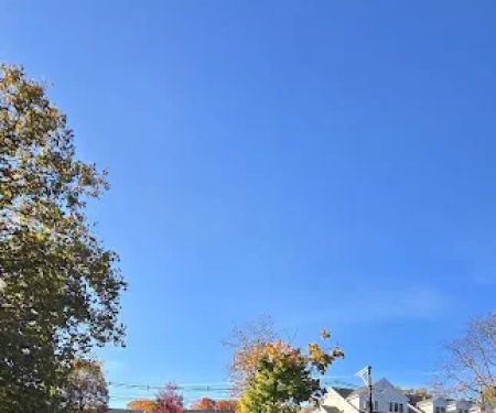Mill Pond Park