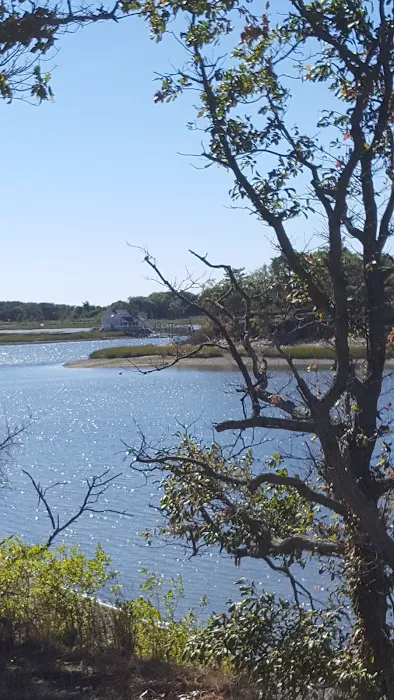 Shea Island Picture 2