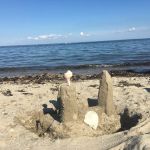 Shea Island
