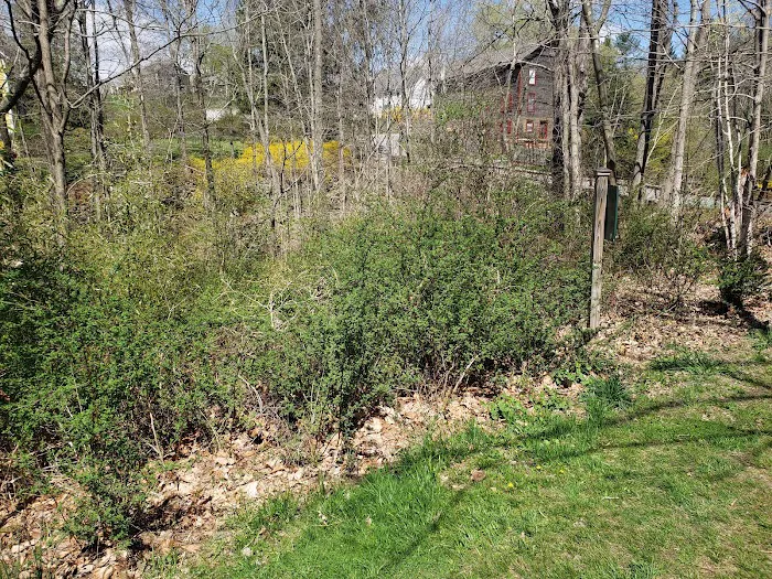 Hayfield-on-Keeler Picture 10