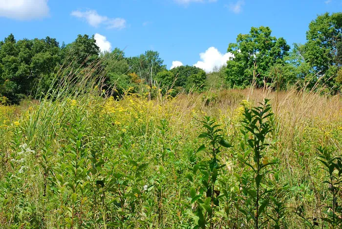 Gaymark Preserve Picture 1